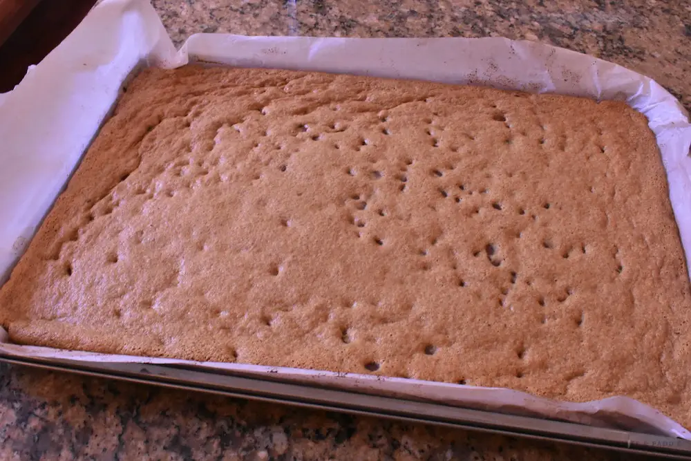 Cooked and out of the oven graham cracker bars