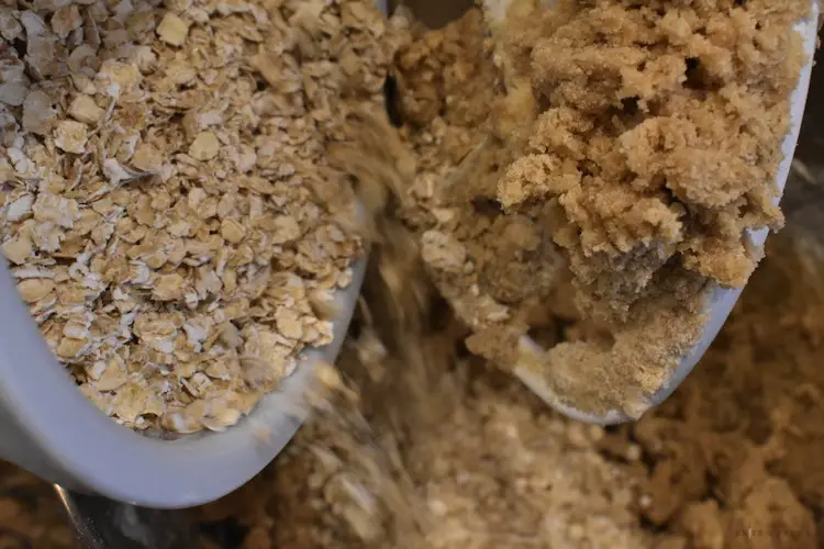Instant oats and sugar in mixer