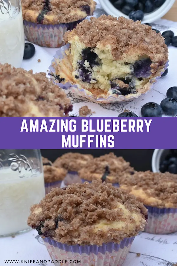 Amazing blueberry muffins with milk