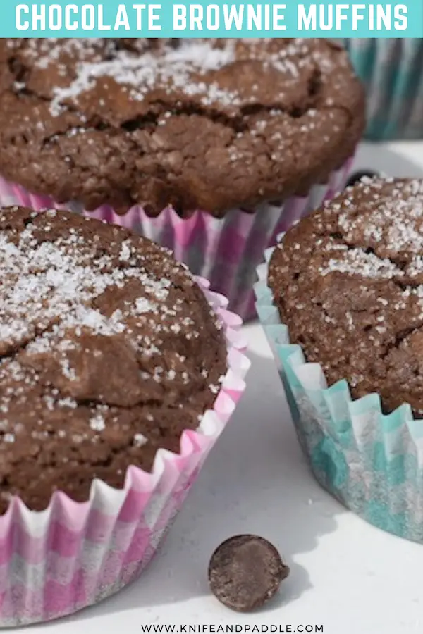 Easy chocolate muffins