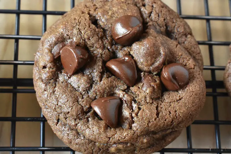 Single double chocolate chip cookie