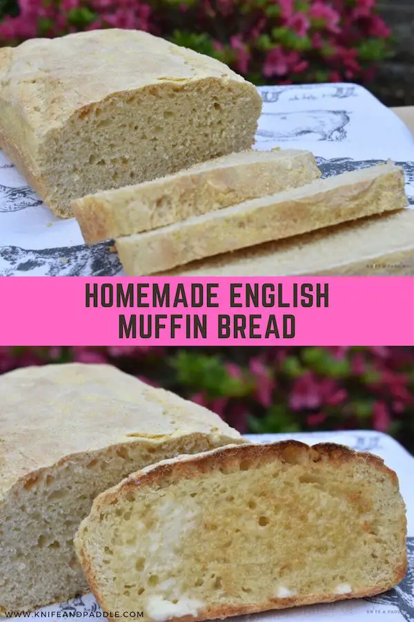 Homemade English muffin bread