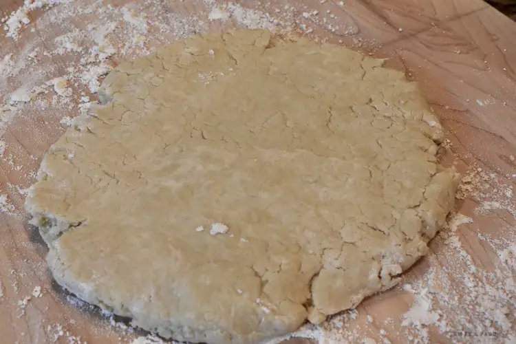 Rolled out pie crust