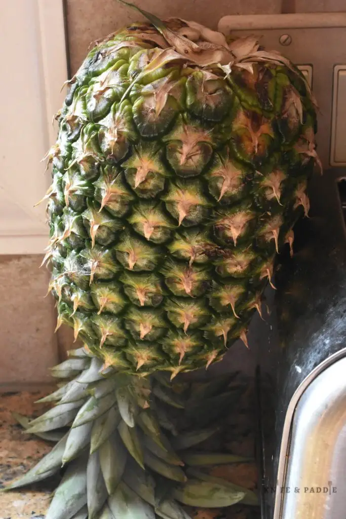 Pineapple upside down