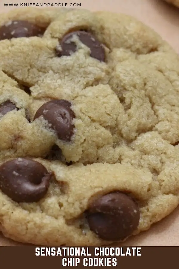 Chocolate chip cookie