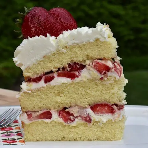 Strawberry Shortcake Cake Plated