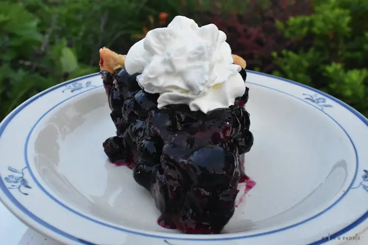 Slice of Cape Cod Blueberry Pie with whipped cream