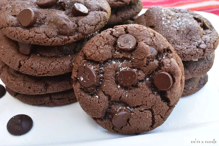 Salted Double Dark Chocolate Cookies