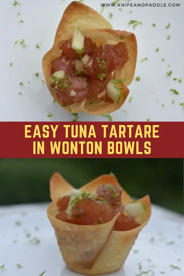 Easy Tuna Tartare in Wonton Bowls