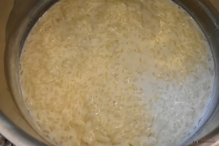 Making rice pudding