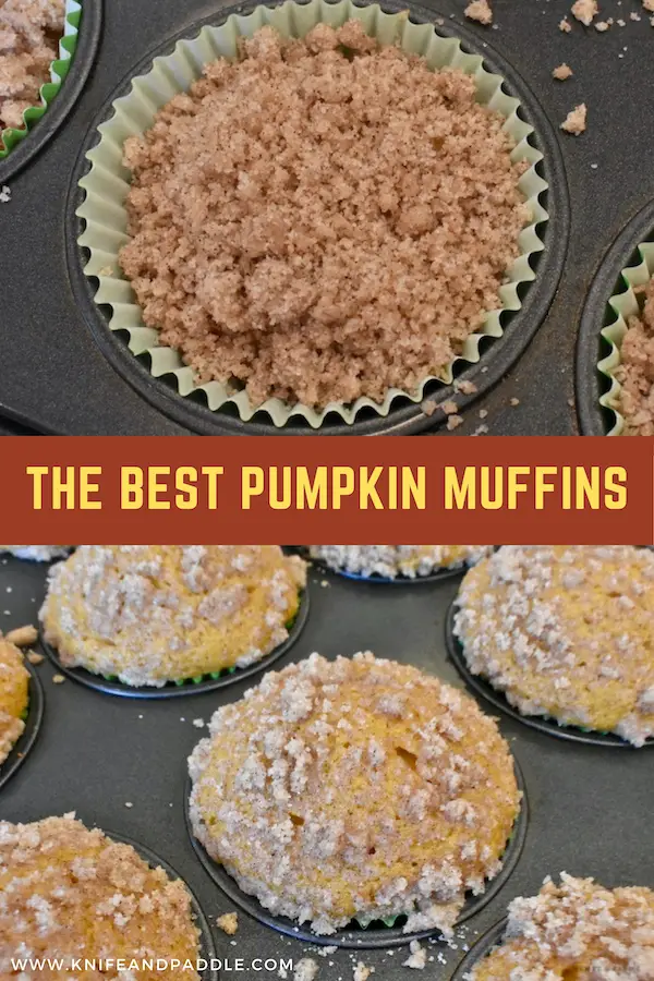 The Best Pumpkin Muffins