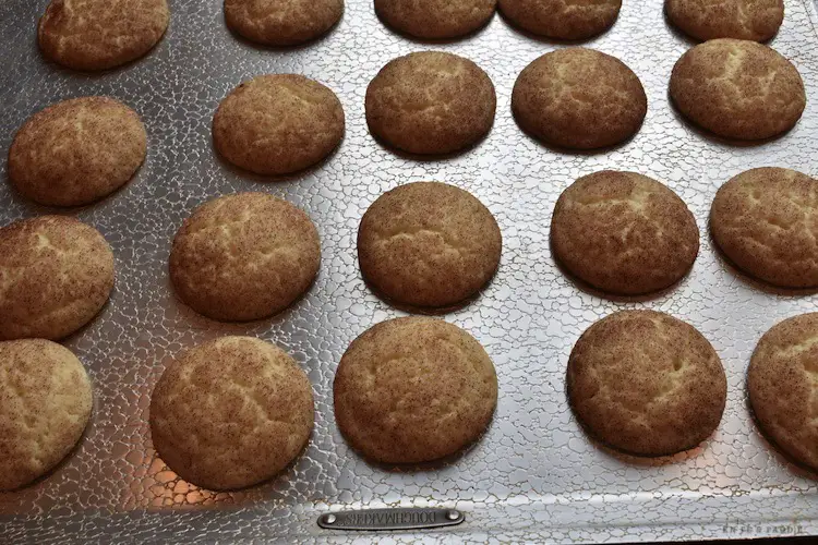 Baked cookies on the baking sheet
