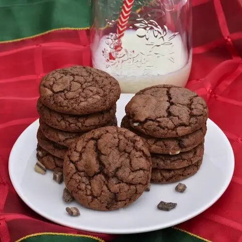 Double-Chocolate-Mint-Cookies-