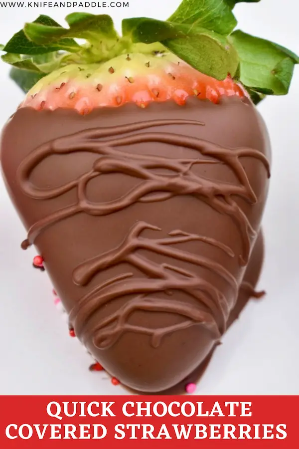 Chocolate covered strawberry plated with chocolate drizzle