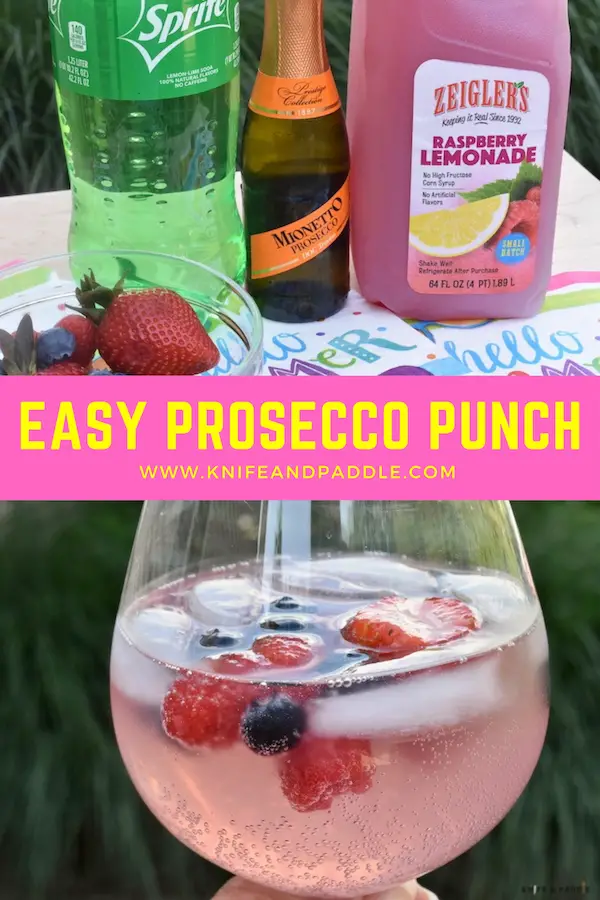 Ingredients:  Sprite , sparkling wine, raspberry lemonade, fresh fruit
