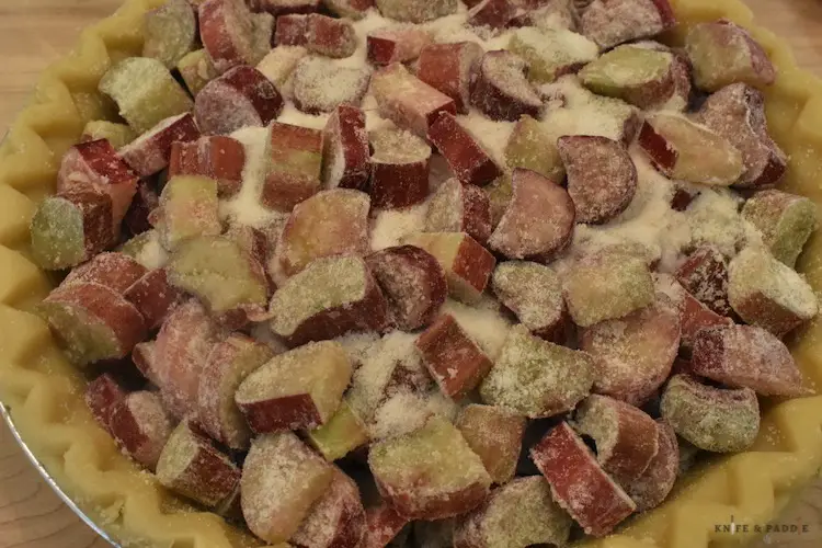 rhubarb, flour, sugar and salt mixed together then put in an unbaked single pie shell