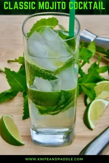 https://knifeandpaddle.com/wp-content/uploads/2021/07/Classic-Mojito-Cocktail-601.jpg?ezimgfmt=rs:379x569/rscb1/ng:webp/ngcb1