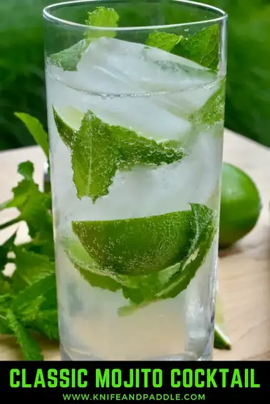 https://knifeandpaddle.com/wp-content/uploads/2021/07/Classic-Mojito-Cocktail-603.jpg?ezimgfmt=rs:379x569/rscb1/ng:webp/ngcb1