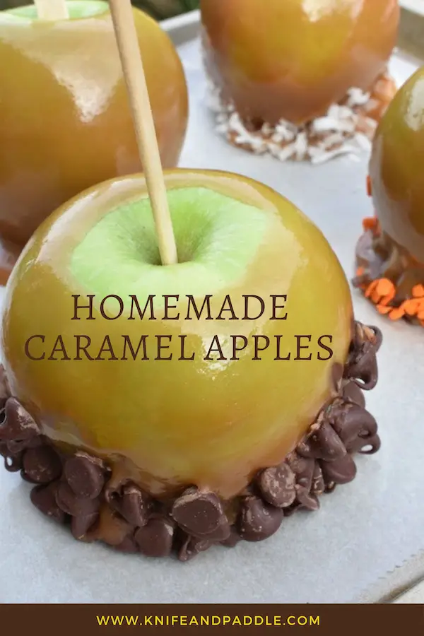 Homemade Caramel Apples with chocolate chips on the bottom