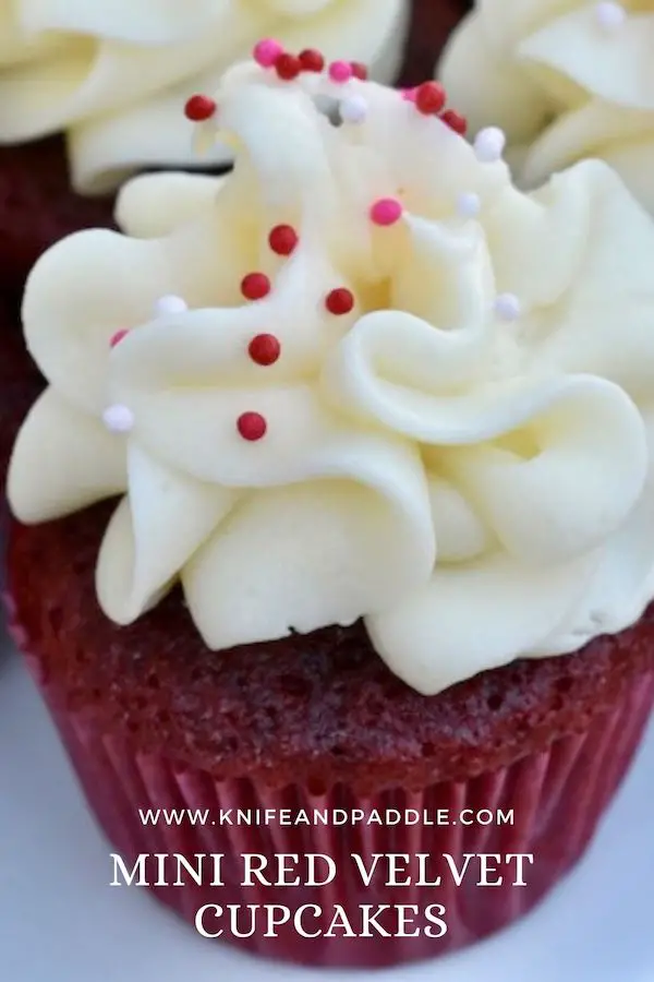 Mini Red Velvet Cupcake on a plate
