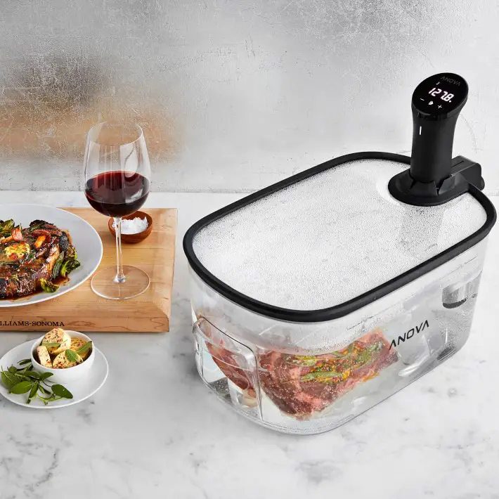 Anova sous vide container from Williams Sonoma