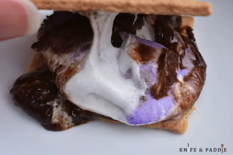 Purple chick marshmallow, chocolate between two graham crackers