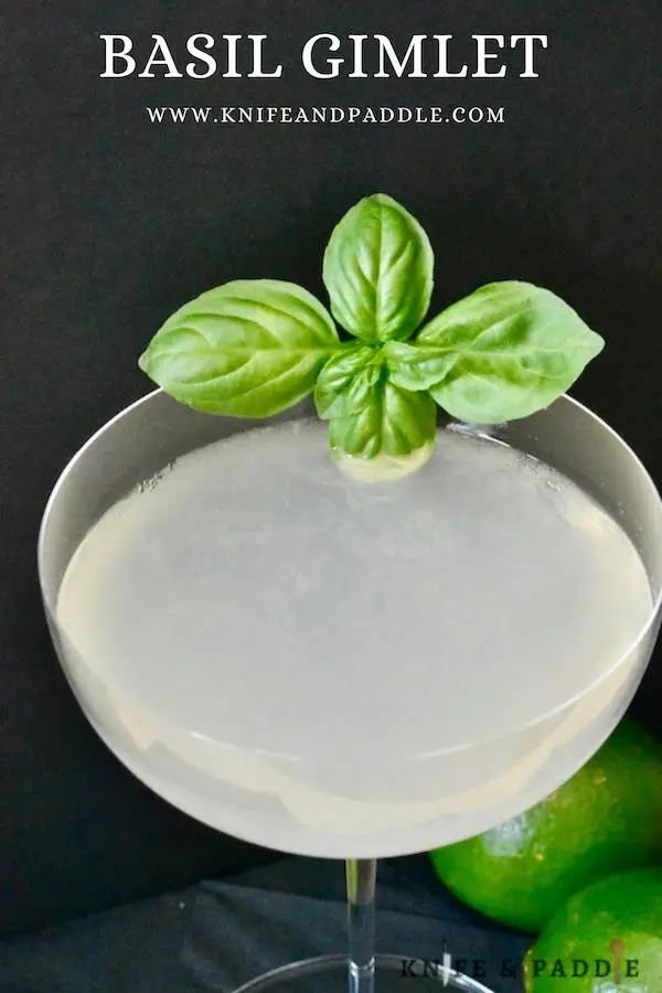 Basil gimlet in a coup glass