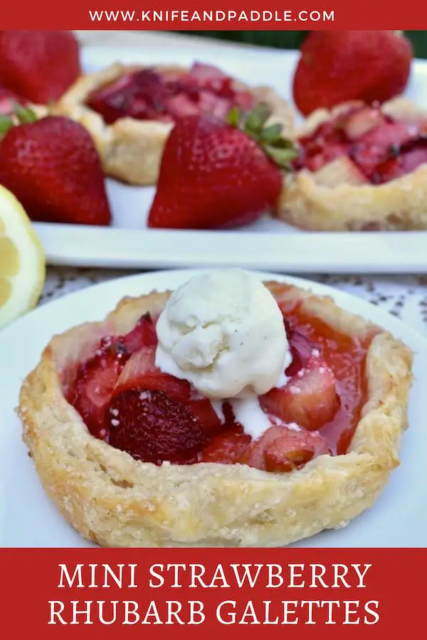 Strawberry Rhubarb Galette with vanilla ice cream on a plate