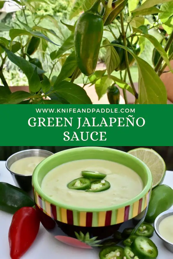 Pepper plant and pepper sauce in a bowl