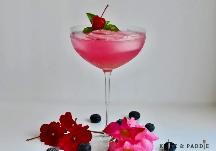 Berry Cocktail in a coupe glass
