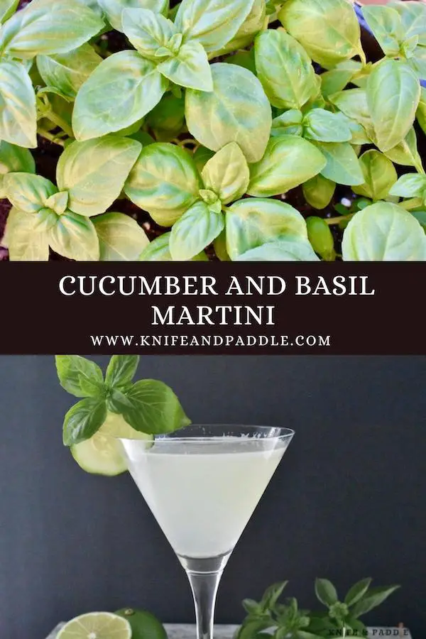 Fresh Basil plant and adult beverage