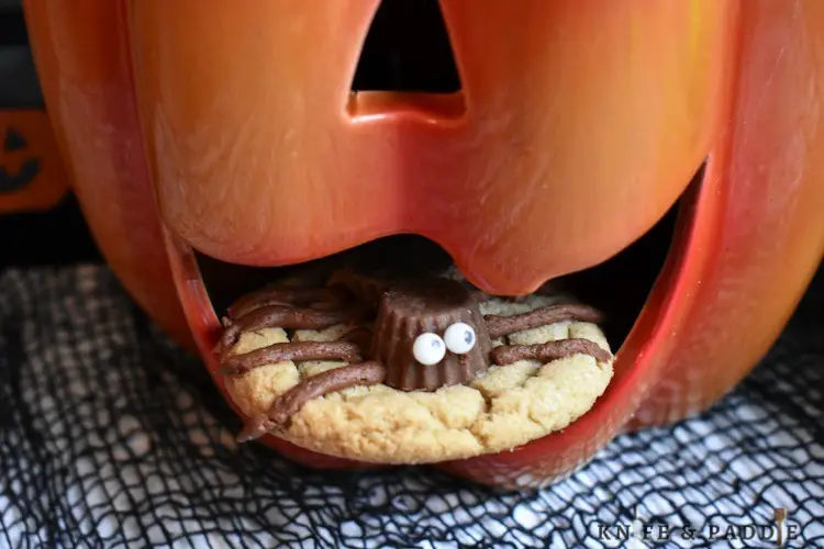Halloween Spider Cookie being eaten by a pumpkin