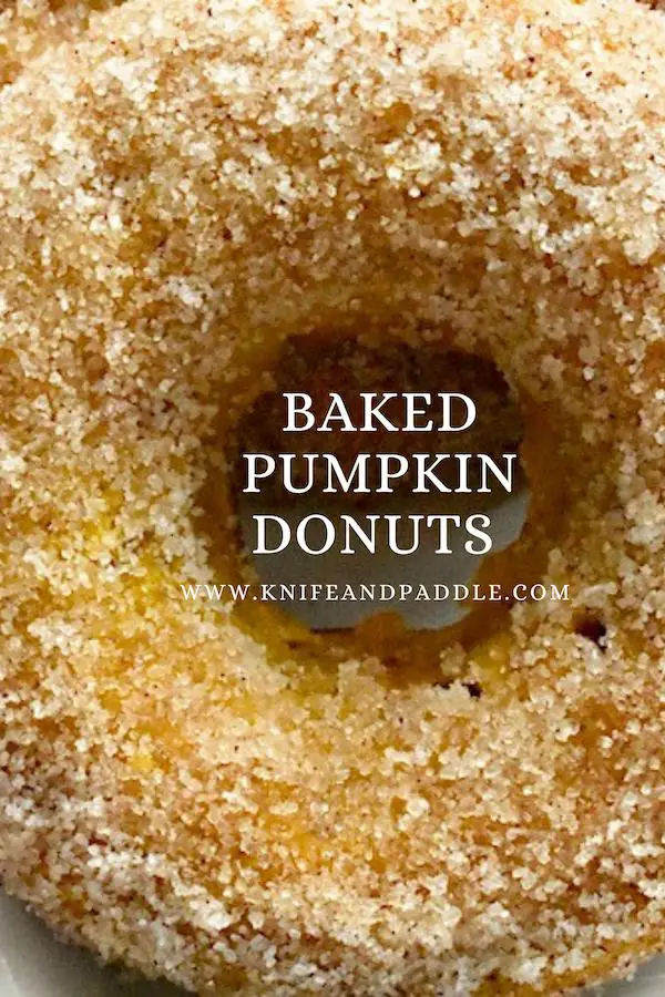 Baked Pumpkin Donut with cinnamon-sugar topping 