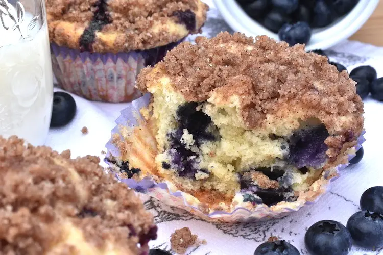 Amazing Blueberry Muffins