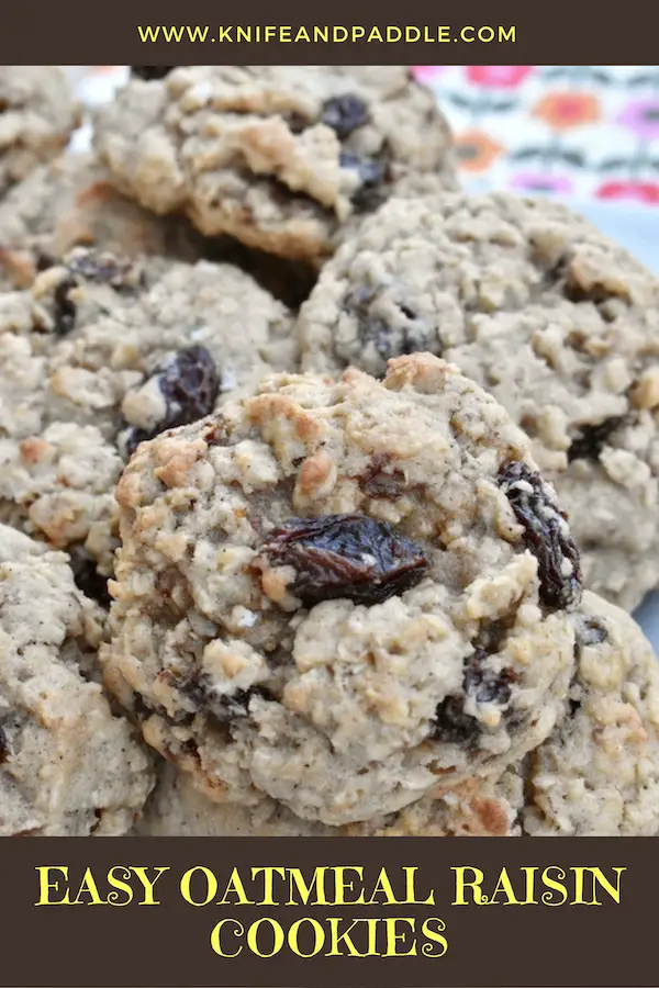 Easy Oatmeal Cookies in a plate