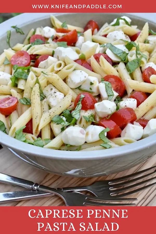 Mozzarella balls, fresh basil, cherry tomatoes, salt, pepper and penne topped with a lemon, olive oil dressing