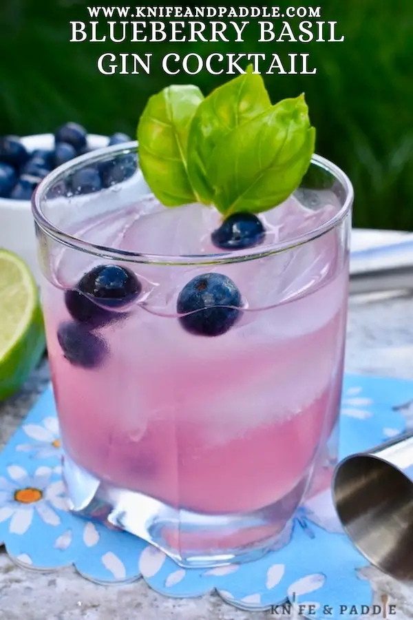 Blueberry Basil Gin Cocktail