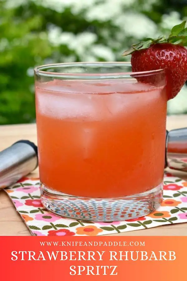 Refreshing Sweet and Tart Summer Cocktail