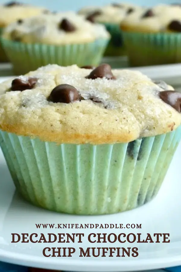 Decadent Chocolate Chip Muffins on a plate