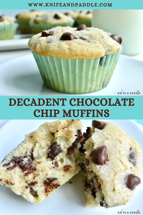 Decadent Chocolate Chip Muffins on a plate