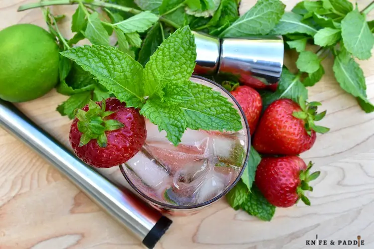 Refreshing Strawberry Mojito in a highball glass with a fresh mint sprig and strawberry for garnish