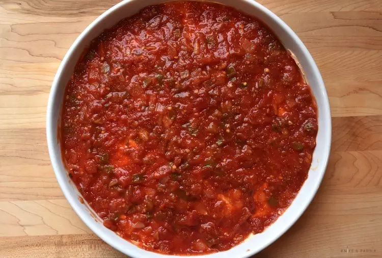 Salsa layer of the best taco dip