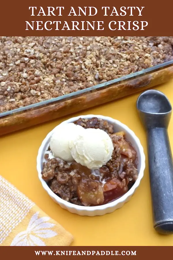 Delicious Summer Dessert in a bowl with fruit and a brown sugar oat topping and a scoop of vanilla ice cream 