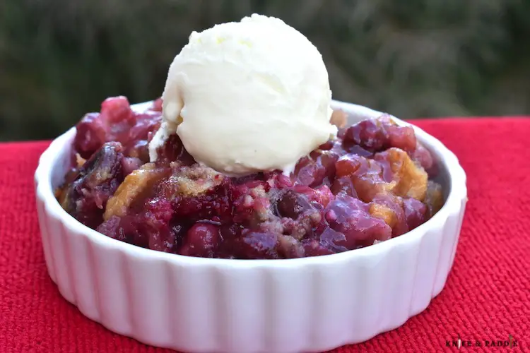 Cranberry-Apple Dessert in a bowl topped with vanilla ice cream