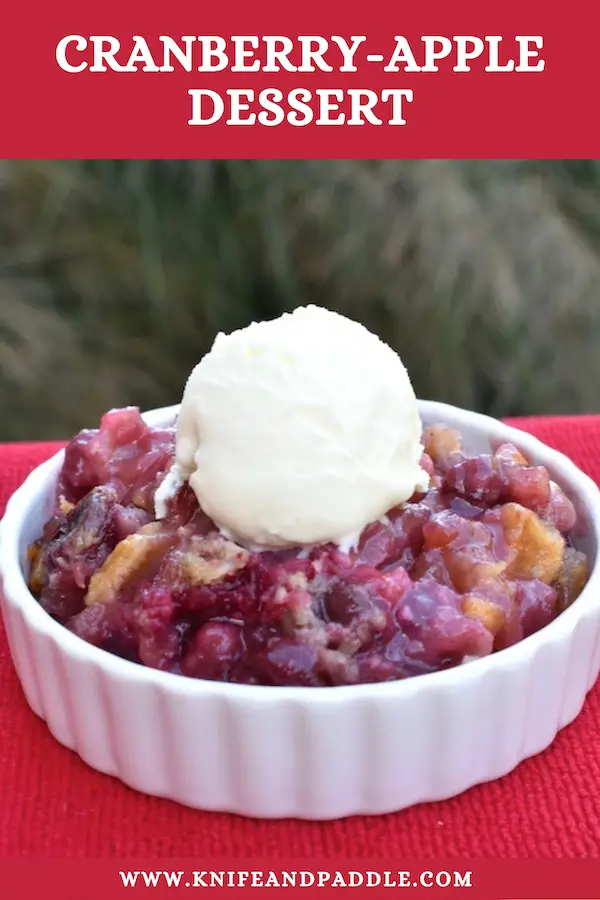 Delicious Cranberry-Apple Dessert in a bowl with a scoop of vanilla ice cream
