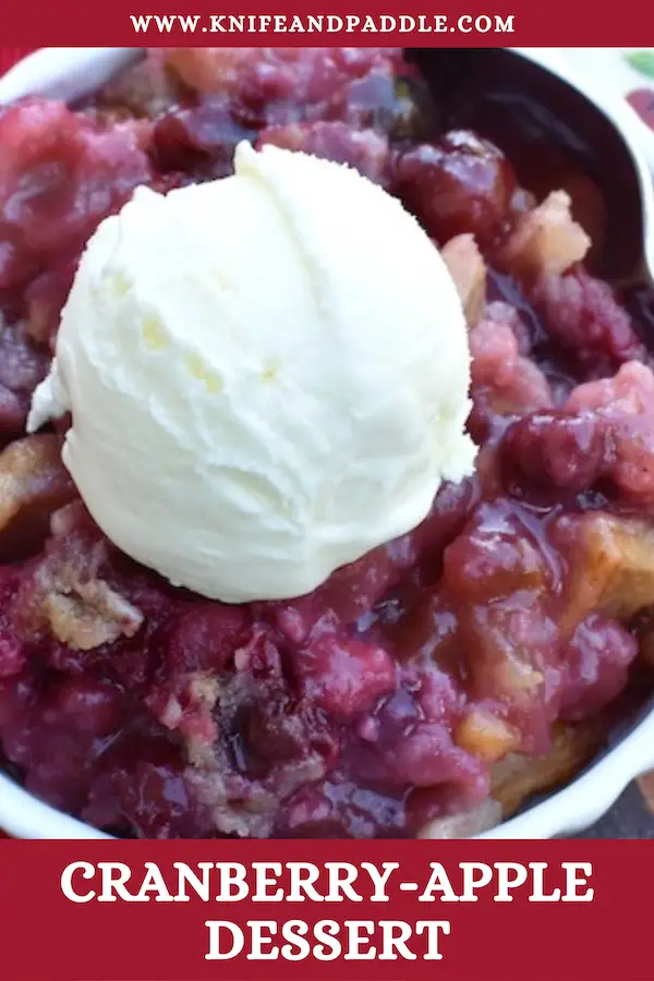 Delicious Cranberry-Apple Dessert in a bowl with a scoop of vanilla ice cream