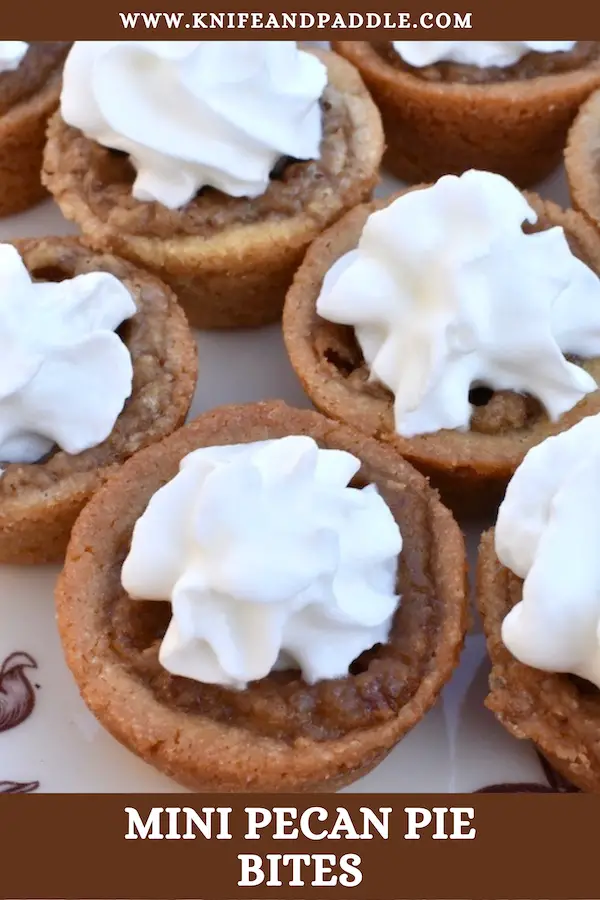 Delicious bite-sized holiday treats with whipped cream