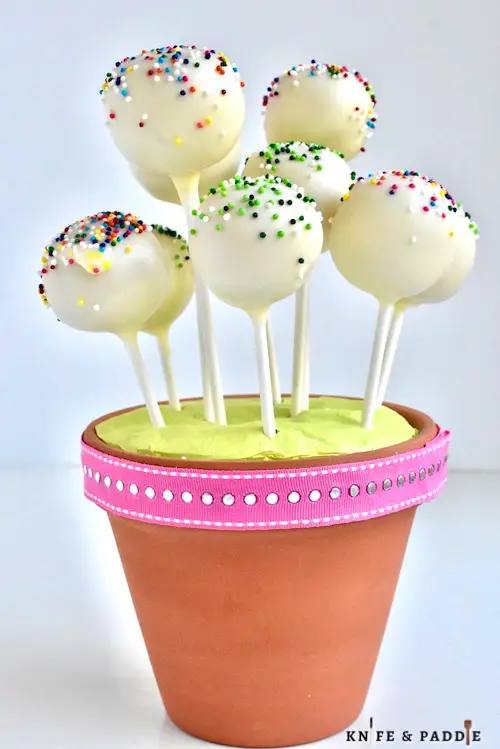 Festive cake pops in a flower pot