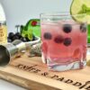 Blueberry Gin and Tonic