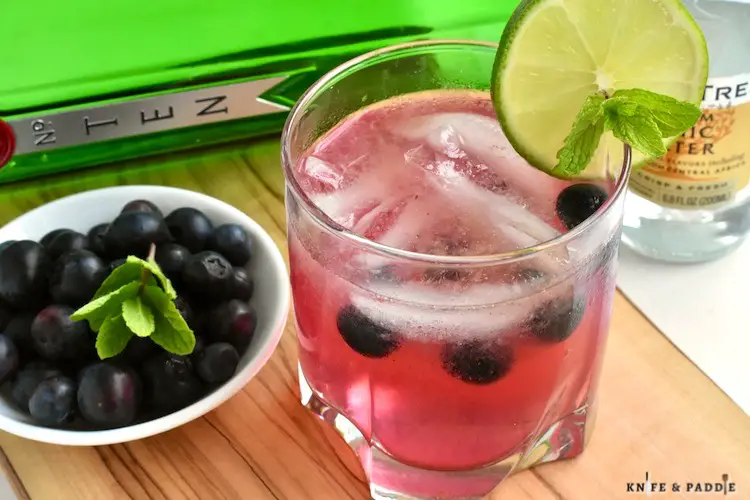 Blueberry Gin and Tonic served with fresh blueberries, a lime wheel and fresh mint sprig